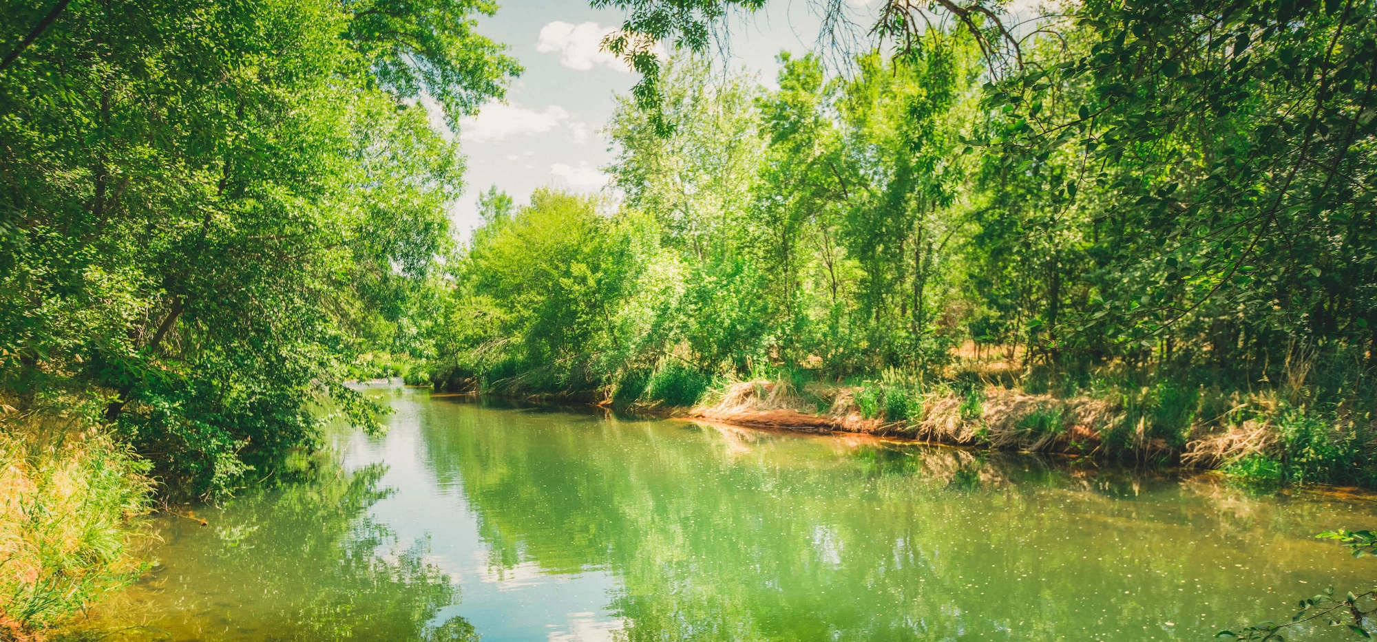 Picture overlooking camping on Oak Creek Sedona, AZ